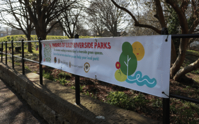 Ilkley Riverside Park to burst into colour with new crocus planting